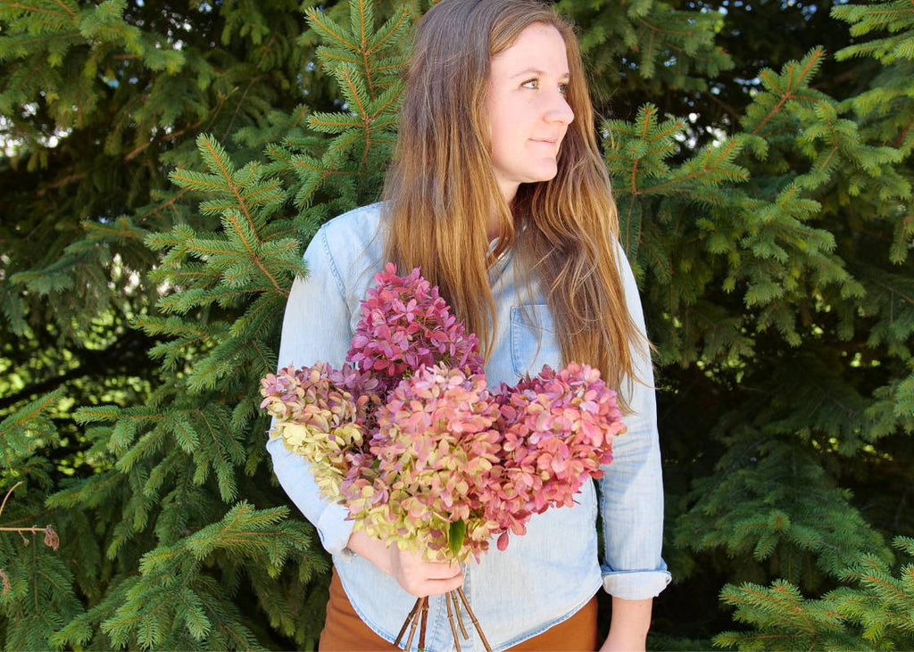 How To Dry Hydrangea Flowers In 3 Easy Steps
